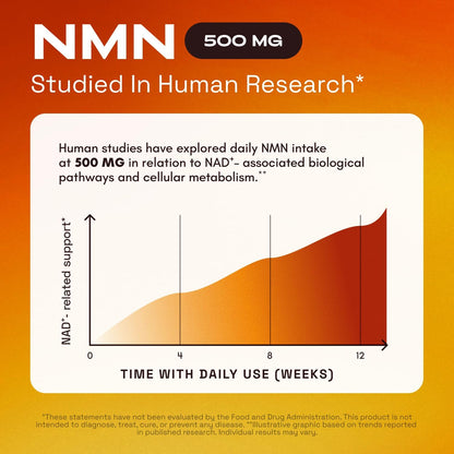 4-in-1 NMN Advanced Complex – NAD+ Booster with Resveratrol, Quercetin & TMG